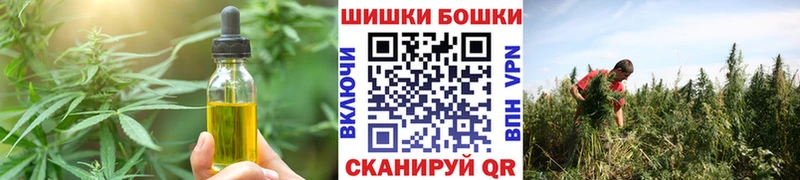 гидра   darknet какой сайт  Печенье с ТГК марихуана  Приморск 