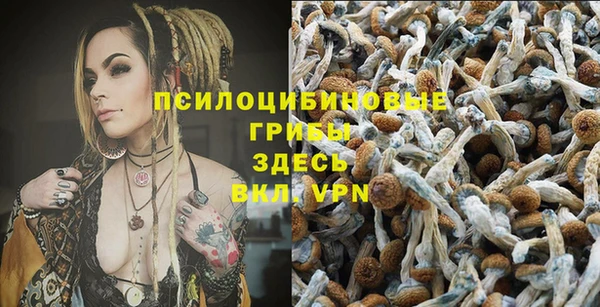 метадон Арсеньев
