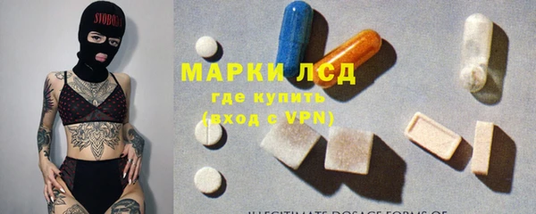 хмурый Алексин