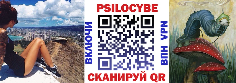Галлюциногенные грибы Psilocybe  как найти закладки  Приморск 